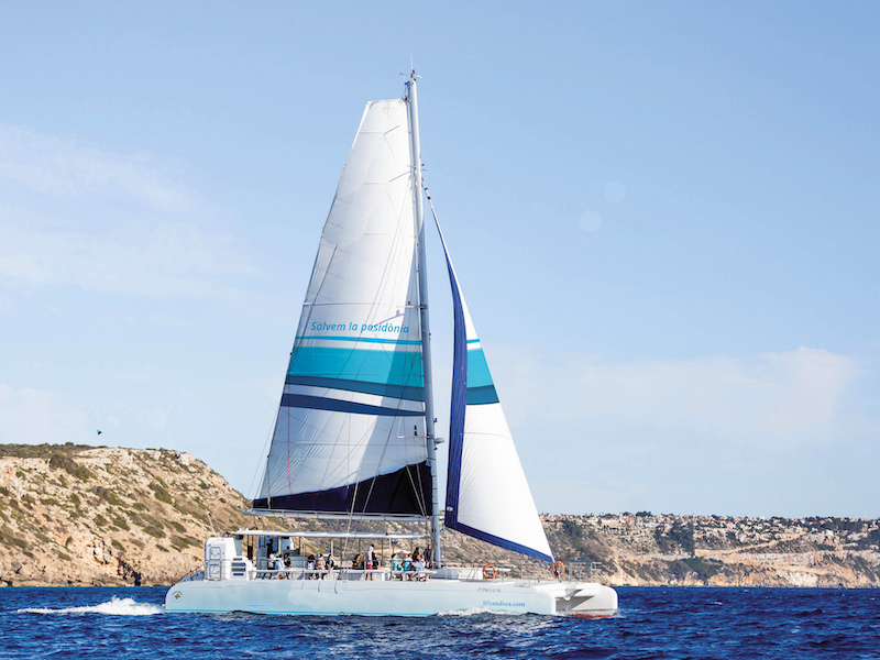 catamaran segel2