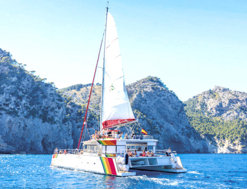 Sailing catamaran Port Alcudia up to 170 guests