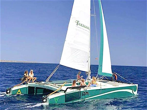 segelyacht 10m kaufen